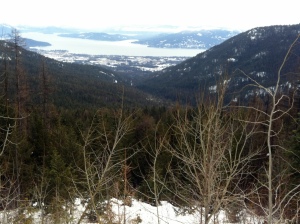 View From Schweitzer Mountain
