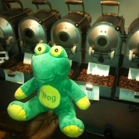 Frog Q at Atlas Lab